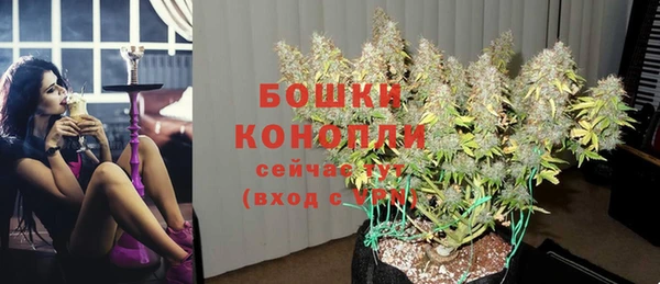 mdpv Костерёво