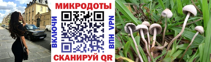 Псилоцибиновые грибы Cubensis  Купить где  Асбест 